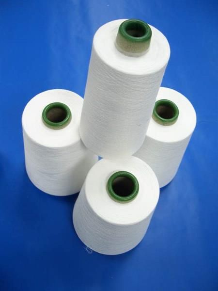 Polyester Yarn